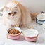 pet bowl mat